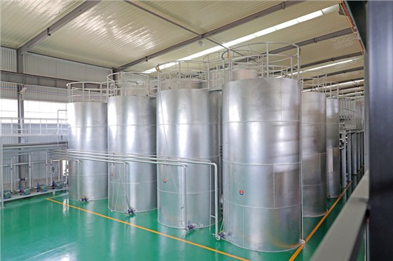 1636524335575257.jpg 1.jpg